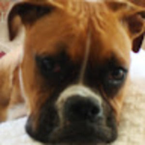 Meet your Posher, Laurita